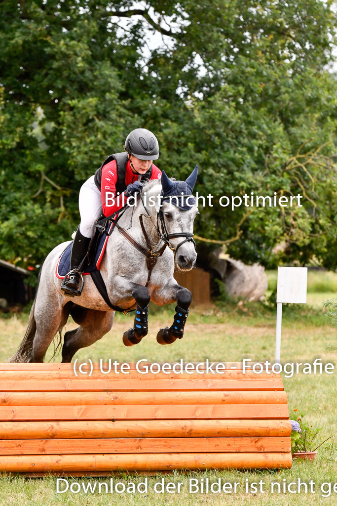 Goldene Schärpe Ponys in Hohenberg Krusemark 2024 | 13072024 Gelände 1 Abt_756