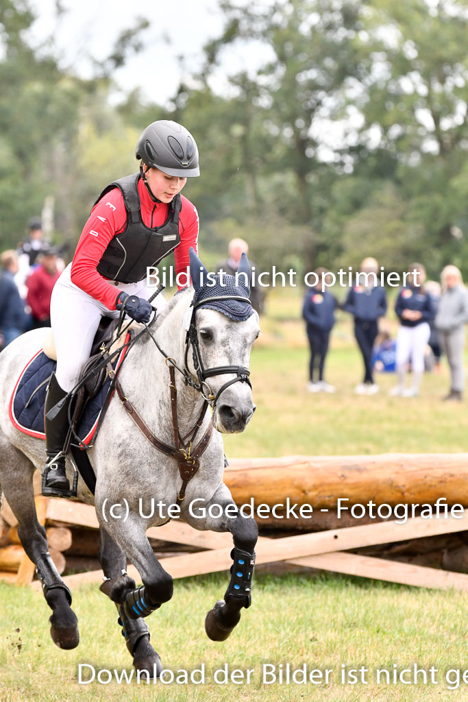 Goldene Schärpe Ponys in Hohenberg Krusemark 2024 | 13072024 Gelände 1 Abt_757