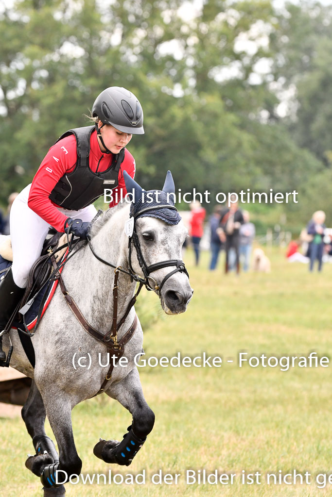 Goldene Schärpe Ponys in Hohenberg Krusemark 2024 | 13072024 Gelände 1 Abt_758