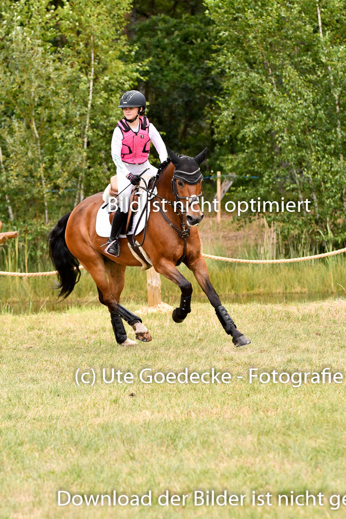 Goldene Schärpe Ponys in Hohenberg Krusemark 2024 | 13072024 Gelände 1 Abt_759