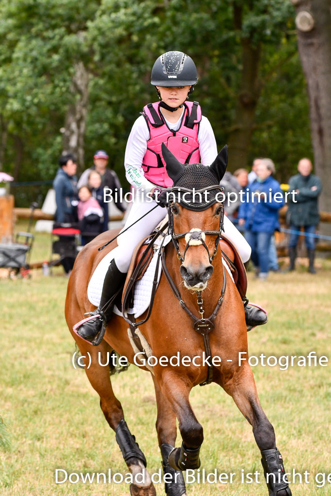 Goldene Schärpe Ponys in Hohenberg Krusemark 2024 | 13072024 Gelände 1 Abt_760