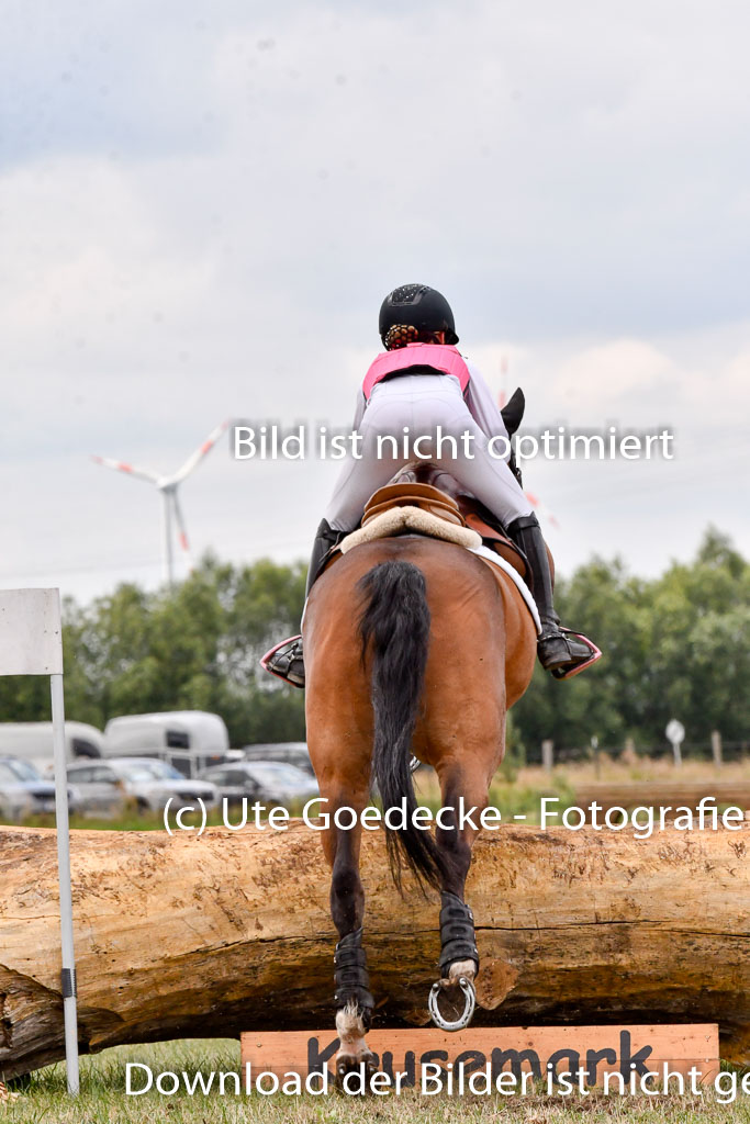 Goldene Schärpe Ponys in Hohenberg Krusemark 2024 | 13072024 Gelände 1 Abt_761