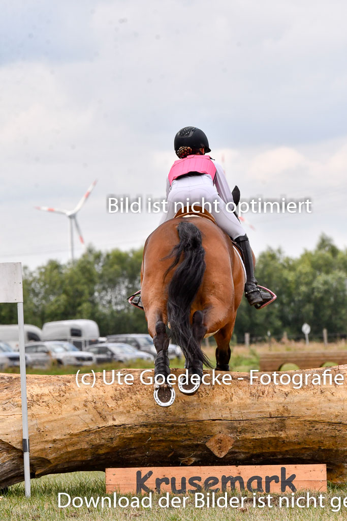 Goldene Schärpe Ponys in Hohenberg Krusemark 2024 | 13072024 Gelände 1 Abt_762