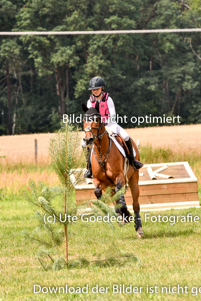 Goldene Schärpe Ponys in Hohenberg Krusemark 2024 | 13072024 Gelände 1 Abt_764