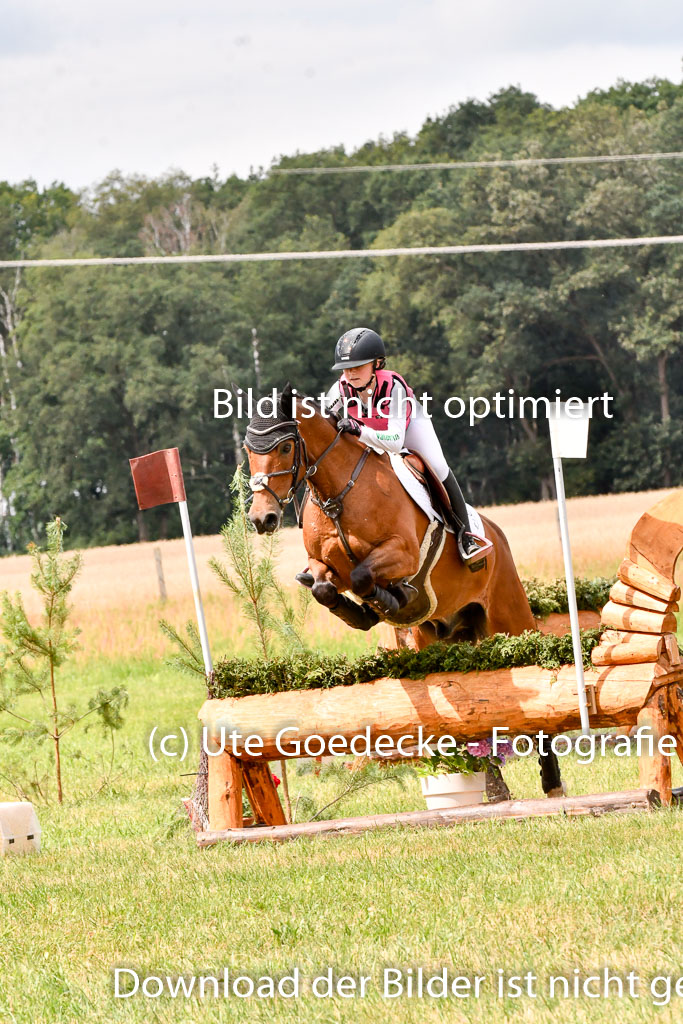 Goldene Schärpe Ponys in Hohenberg Krusemark 2024 | 13072024 Gelände 1 Abt_765