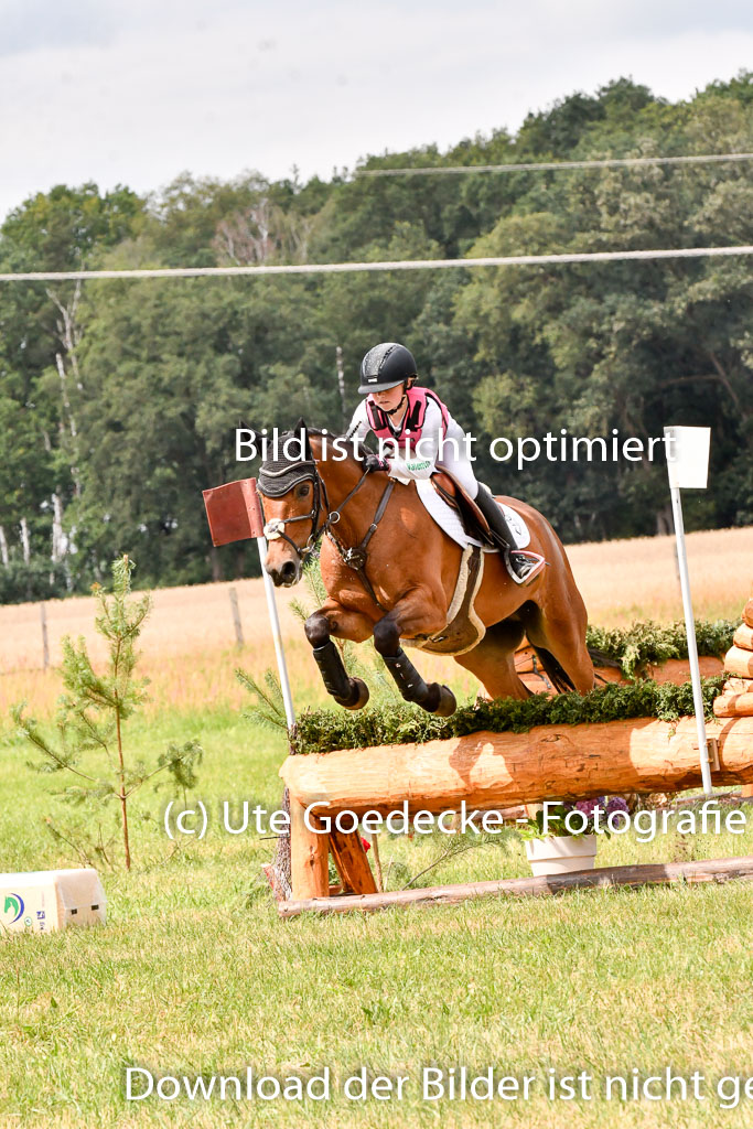 Goldene Schärpe Ponys in Hohenberg Krusemark 2024 | 13072024 Gelände 1 Abt_766