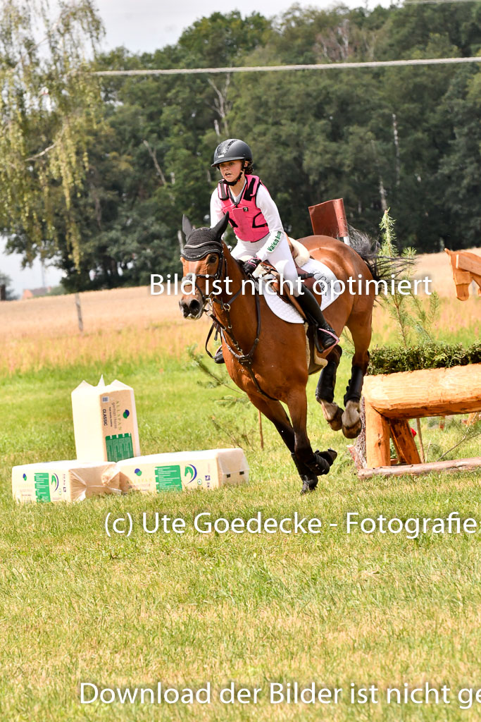 Goldene Schärpe Ponys in Hohenberg Krusemark 2024 | 13072024 Gelände 1 Abt_768