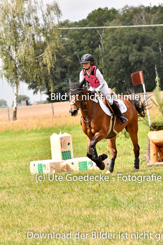 Goldene Schärpe Ponys in Hohenberg Krusemark 2024 | 13072024 Gelände 1 Abt_769