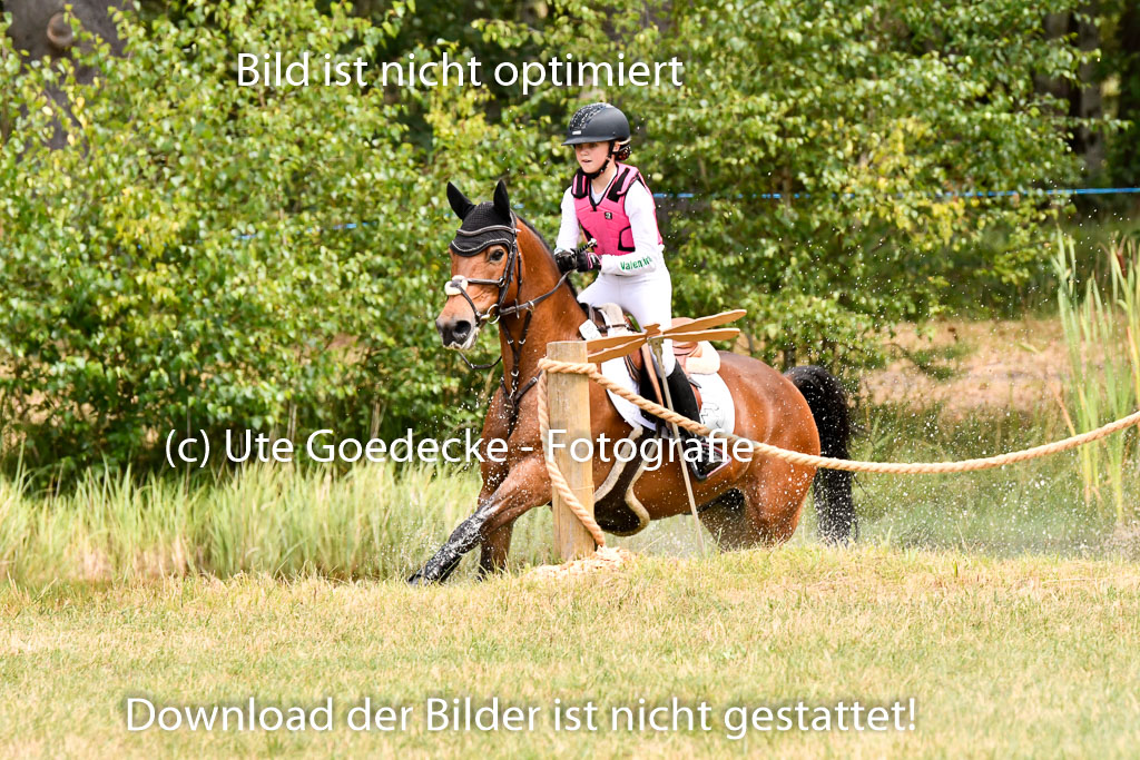 Goldene Schärpe Ponys in Hohenberg Krusemark 2024 | 13072024 Gelände 1 Abt_770