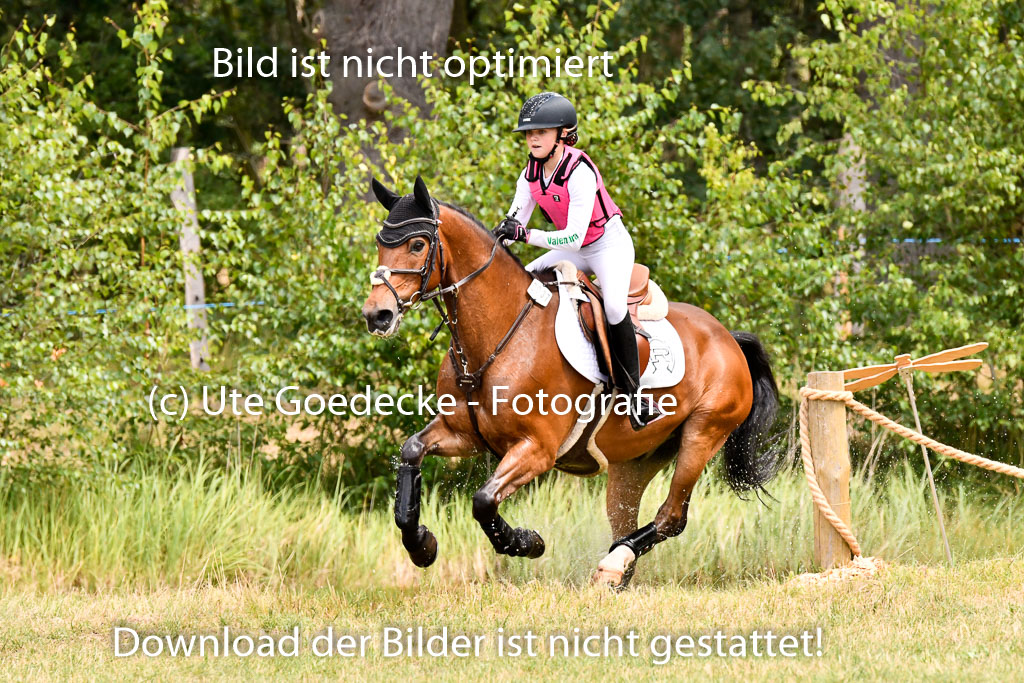 Goldene Schärpe Ponys in Hohenberg Krusemark 2024 | 13072024 Gelände 1 Abt_771