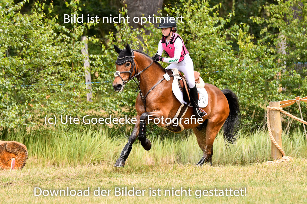 Goldene Schärpe Ponys in Hohenberg Krusemark 2024 | 13072024 Gelände 1 Abt_772
