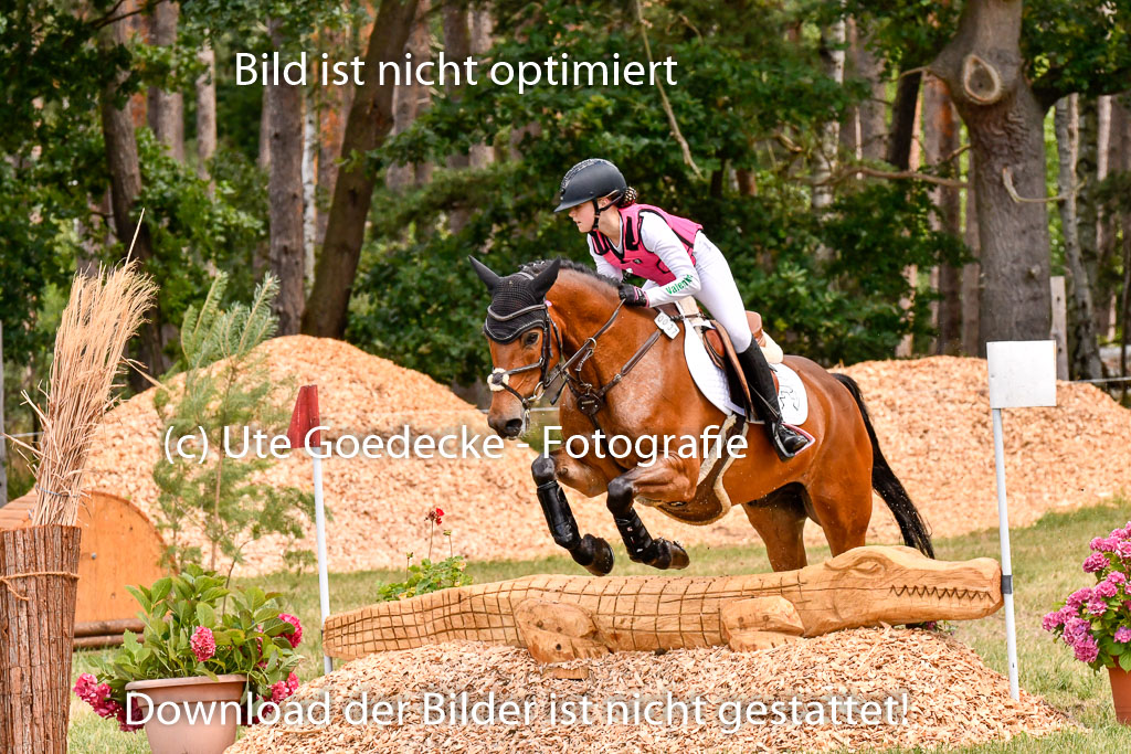 Goldene Schärpe Ponys in Hohenberg Krusemark 2024 | 13072024 Gelände 1 Abt_773