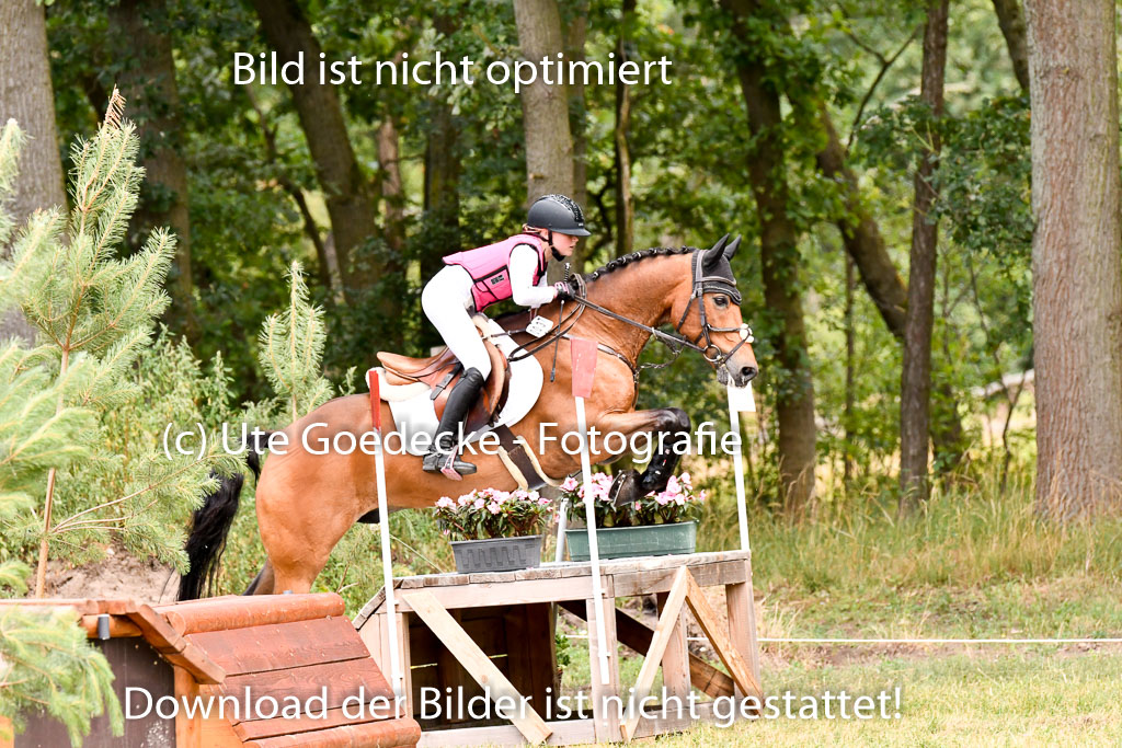 Goldene Schärpe Ponys in Hohenberg Krusemark 2024 | 13072024 Gelände 1 Abt_774