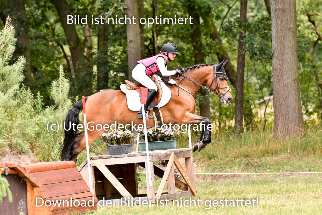 Goldene Schärpe Ponys in Hohenberg Krusemark 2024 | 13072024 Gelände 1 Abt_775