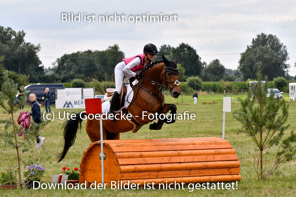 Goldene Schärpe Ponys in Hohenberg Krusemark 2024 | 13072024 Gelände 1 Abt_776
