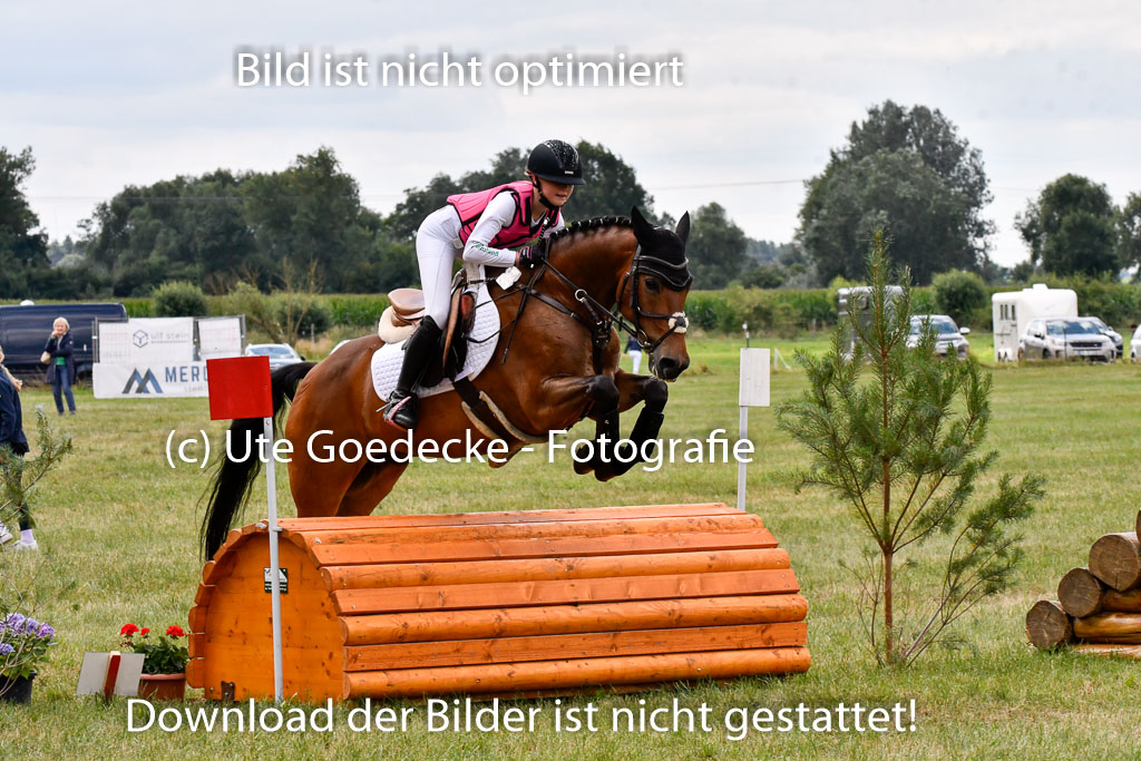 Goldene Schärpe Ponys in Hohenberg Krusemark 2024 | 13072024 Gelände 1 Abt_777