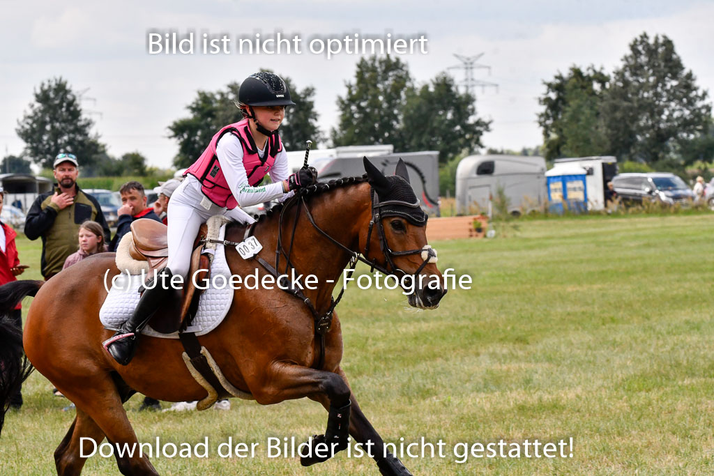 Goldene Schärpe Ponys in Hohenberg Krusemark 2024 | 13072024 Gelände 1 Abt_778