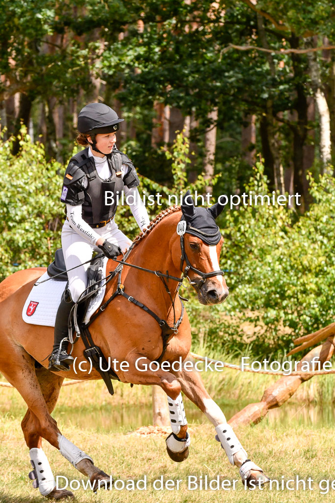 Goldene Schärpe Ponys in Hohenberg Krusemark 2024 | 13072024 Gelände 1 Abt_780