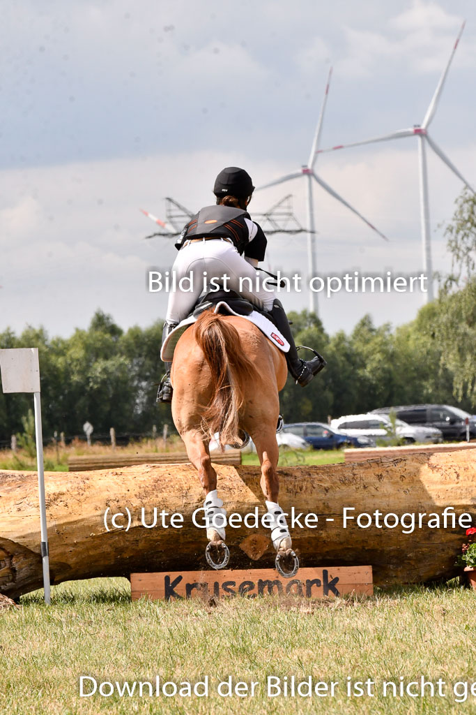 Goldene Schärpe Ponys in Hohenberg Krusemark 2024 | 13072024 Gelände 1 Abt_782