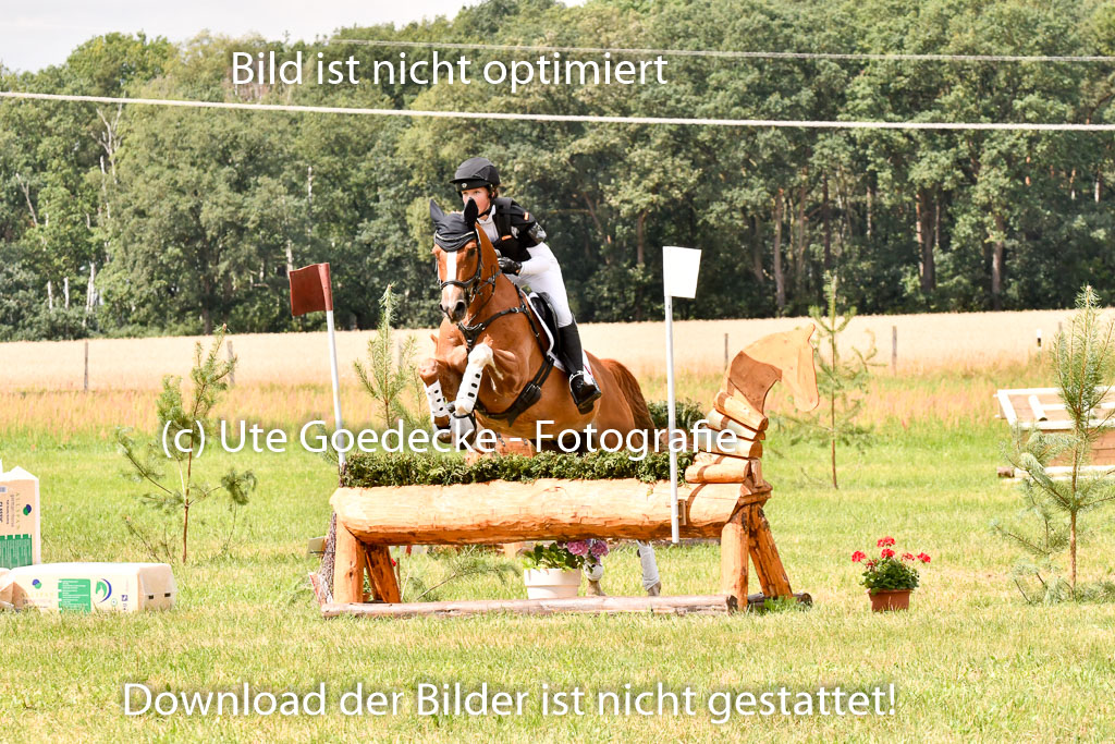 Goldene Schärpe Ponys in Hohenberg Krusemark 2024 | 13072024 Gelände 1 Abt_785