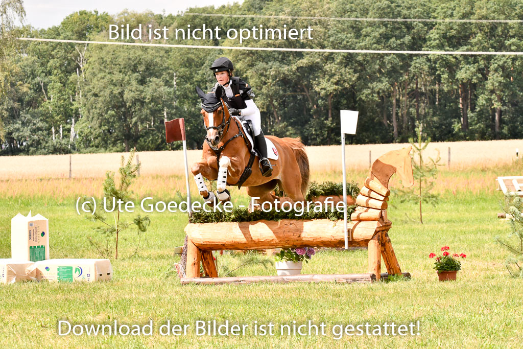 Goldene Schärpe Ponys in Hohenberg Krusemark 2024 | 13072024 Gelände 1 Abt_786