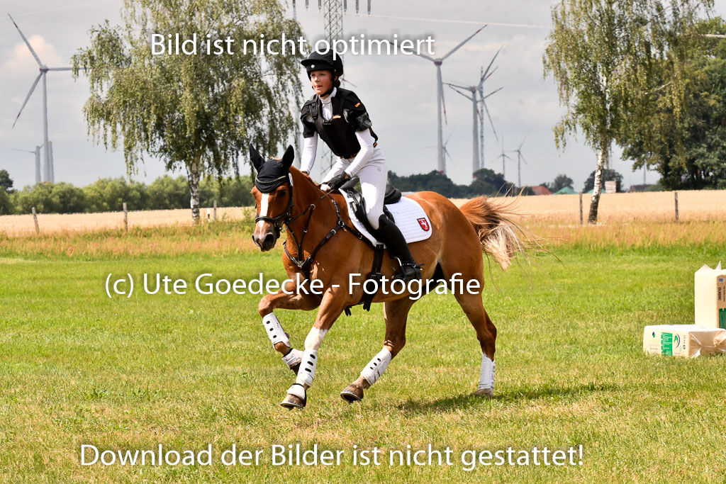 Goldene Schärpe Ponys in Hohenberg Krusemark 2024 | 13072024 Gelände 1 Abt_787 