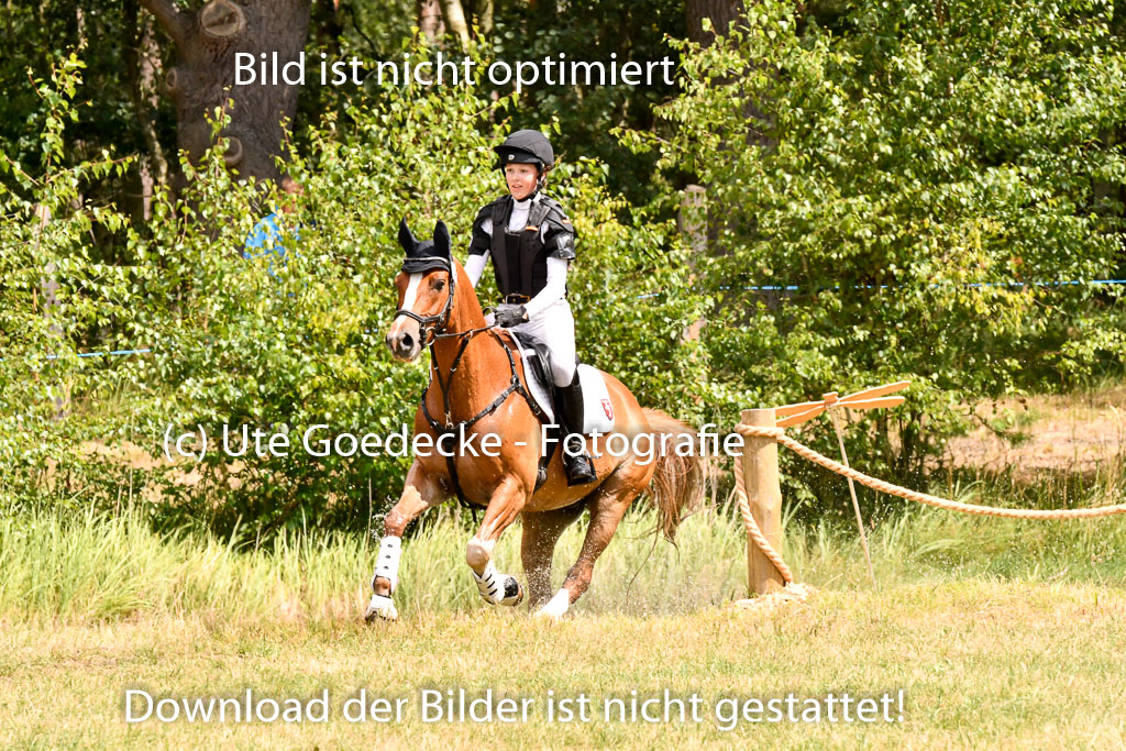 Goldene Schärpe Ponys in Hohenberg Krusemark 2024 | 13072024 Gelände 1 Abt_788 