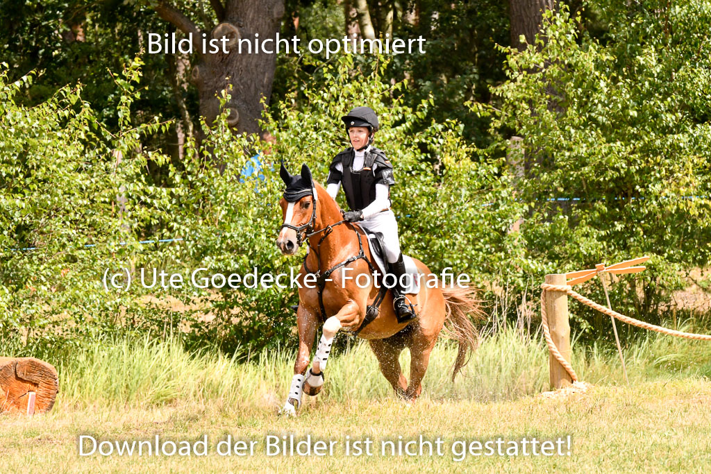 Goldene Schärpe Ponys in Hohenberg Krusemark 2024 | 13072024 Gelände 1 Abt_789 