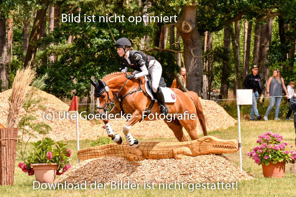 Goldene Schärpe Ponys in Hohenberg Krusemark 2024 | 13072024 Gelände 1 Abt_790 