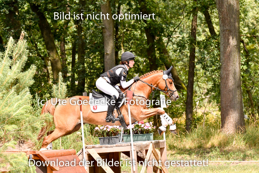 Goldene Schärpe Ponys in Hohenberg Krusemark 2024 | 13072024 Gelände 1 Abt_791 