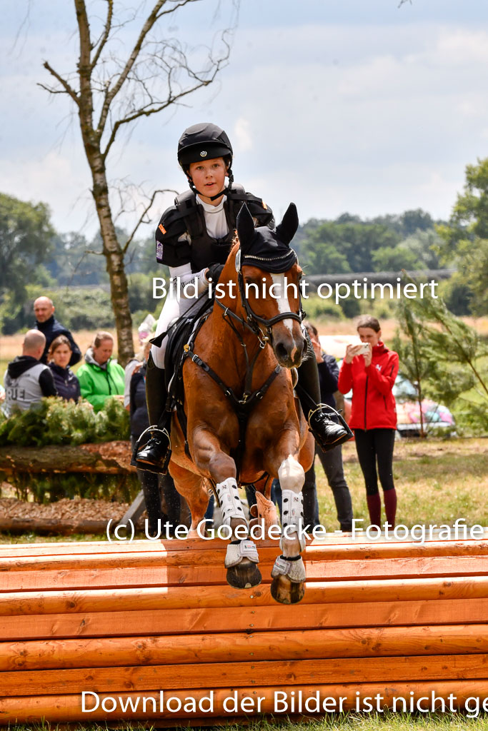 Goldene Schärpe Ponys in Hohenberg Krusemark 2024 | 13072024 Gelände 1 Abt_793 