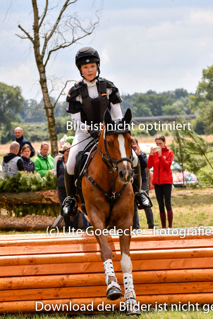 Goldene Schärpe Ponys in Hohenberg Krusemark 2024 | 13072024 Gelände 1 Abt_794 