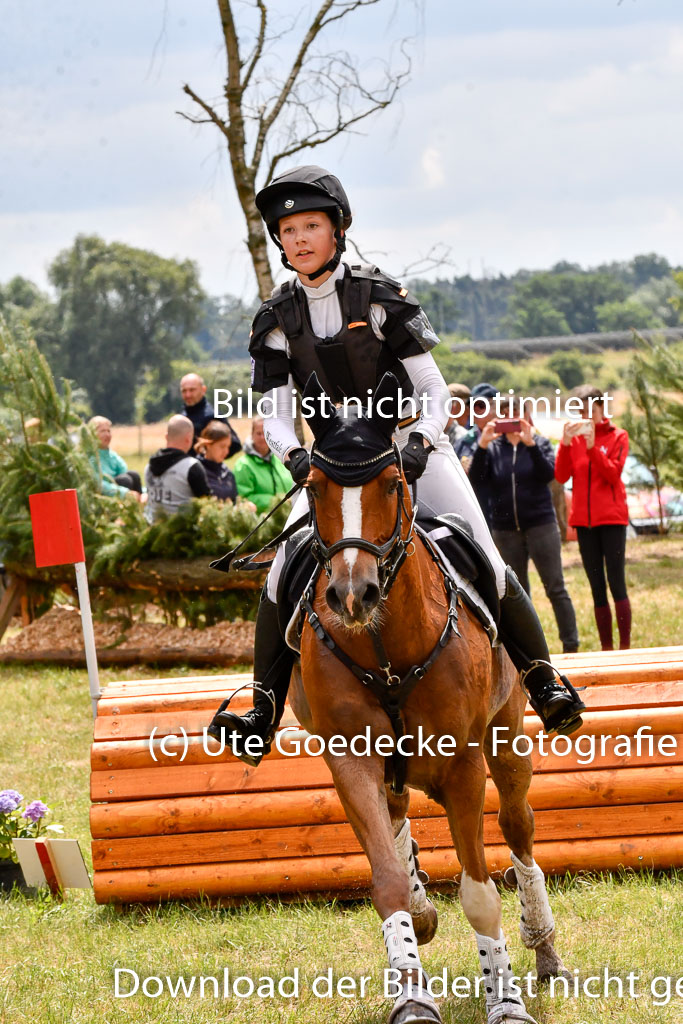 Goldene Schärpe Ponys in Hohenberg Krusemark 2024 | 13072024 Gelände 1 Abt_795 