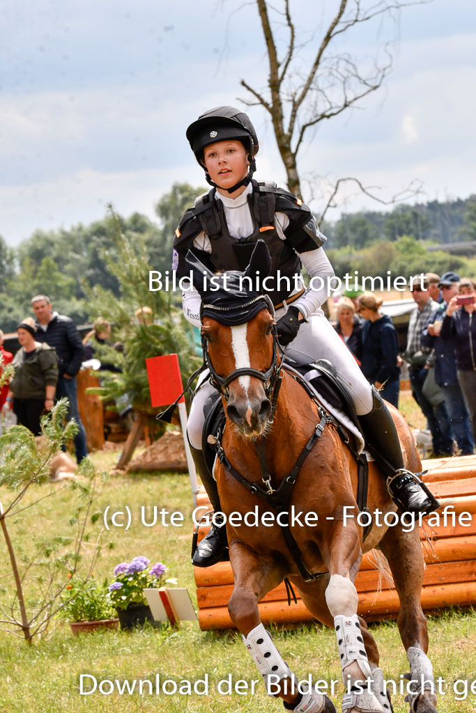 Goldene Schärpe Ponys in Hohenberg Krusemark 2024 | 13072024 Gelände 1 Abt_796 