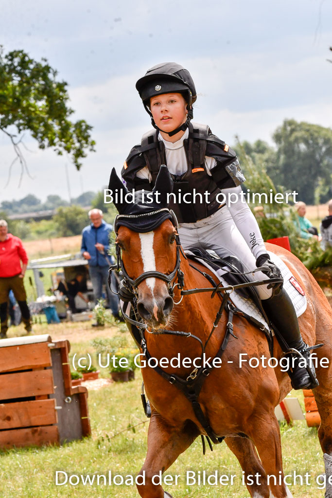 Goldene Schärpe Ponys in Hohenberg Krusemark 2024 | 13072024 Gelände 1 Abt_797 