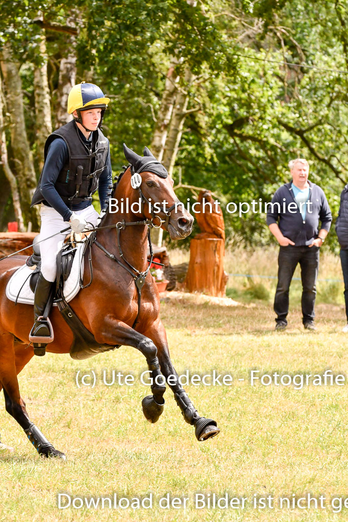 Goldene Schärpe Ponys in Hohenberg Krusemark 2024 | 13072024 Gelände 1 Abt_799 