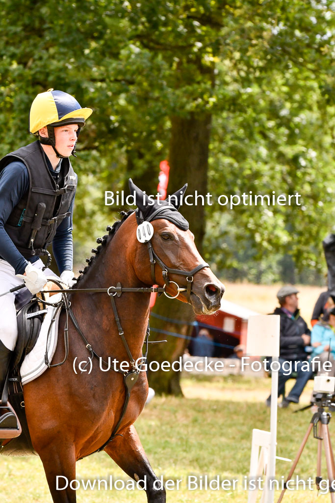 Goldene Schärpe Ponys in Hohenberg Krusemark 2024 | 13072024 Gelände 1 Abt_800 