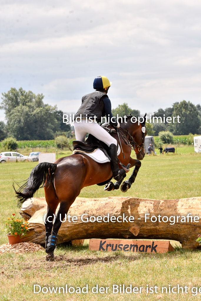 Goldene Schärpe Ponys in Hohenberg Krusemark 2024 | 13072024 Gelände 1 Abt_802 