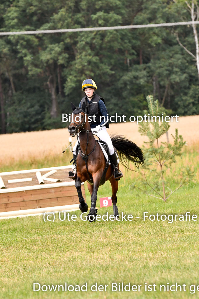 Goldene Schärpe Ponys in Hohenberg Krusemark 2024 | 13072024 Gelände 1 Abt_804 