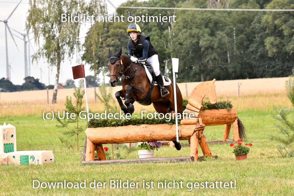 Goldene Schärpe Ponys in Hohenberg Krusemark 2024 | 13072024 Gelände 1 Abt_805 