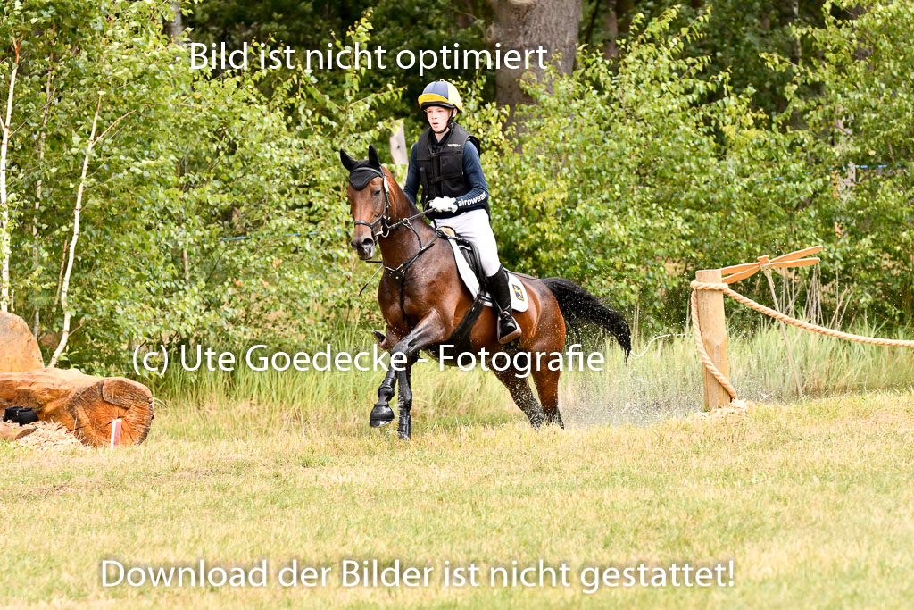 Goldene Schärpe Ponys in Hohenberg Krusemark 2024 | 13072024 Gelände 1 Abt_807 