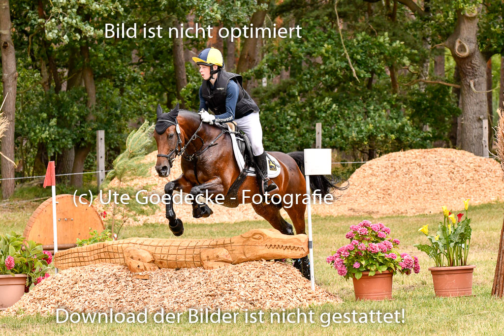 Goldene Schärpe Ponys in Hohenberg Krusemark 2024 | 13072024 Gelände 1 Abt_808 