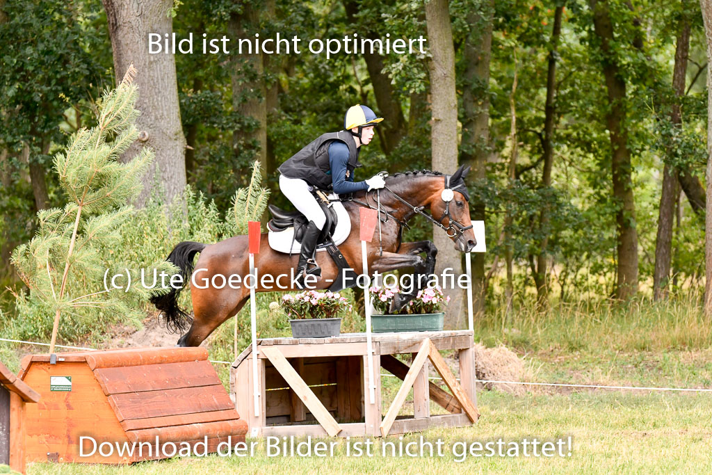 Goldene Schärpe Ponys in Hohenberg Krusemark 2024 | 13072024 Gelände 1 Abt_809 