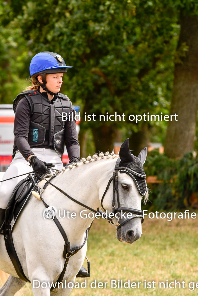 Goldene Schärpe Ponys in Hohenberg Krusemark 2024 | 13072024 Gelände 1 Abt_811 