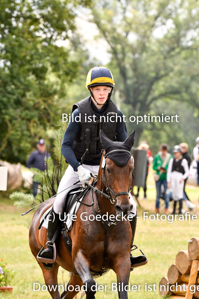 Goldene Schärpe Ponys in Hohenberg Krusemark 2024 | 13072024 Gelände 1 Abt_815 