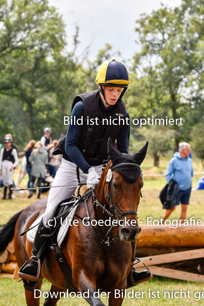 Goldene Schärpe Ponys in Hohenberg Krusemark 2024 | 13072024 Gelände 1 Abt_816 