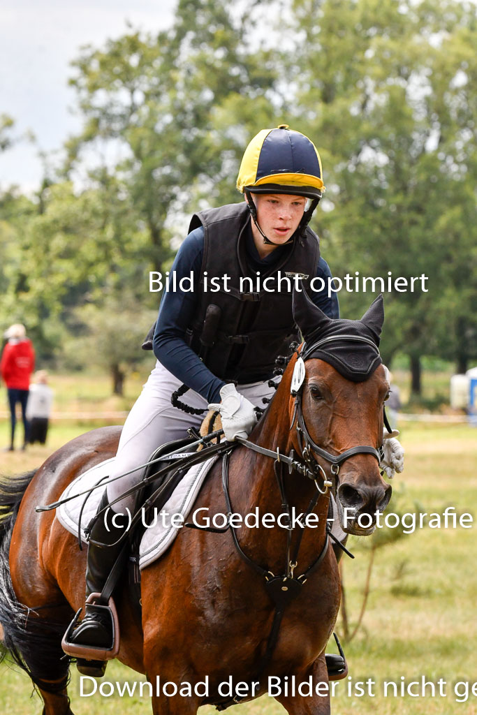 Goldene Schärpe Ponys in Hohenberg Krusemark 2024 | 13072024 Gelände 1 Abt_817 