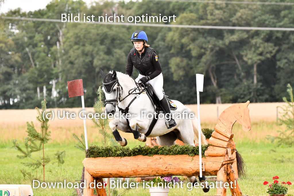 Goldene Schärpe Ponys in Hohenberg Krusemark 2024 | 13072024 Gelände 1 Abt_820 