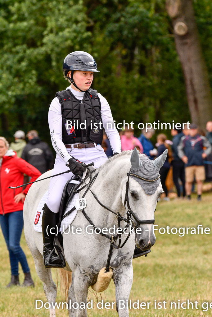 Goldene Schärpe Ponys in Hohenberg Krusemark 2024 | 13072024 Gelände 1 Abt_821 