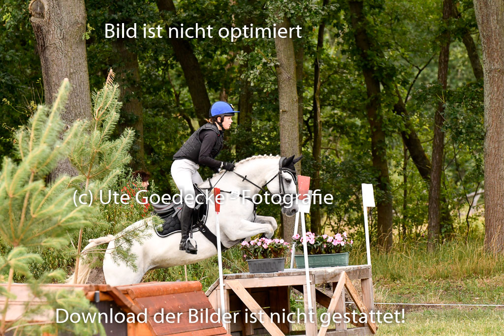 Goldene Schärpe Ponys in Hohenberg Krusemark 2024 | 13072024 Gelände 1 Abt_824 